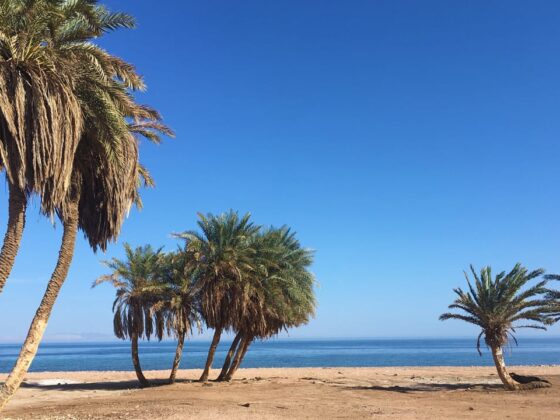 Postcard From Dahab, South Sinai