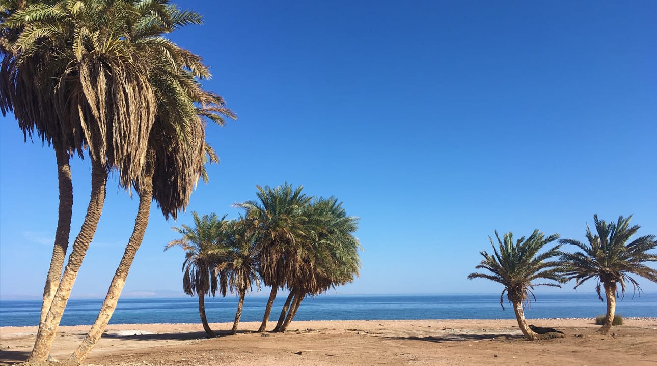 Postcard From Dahab, South Sinai