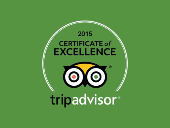 certificate of excellence 2015