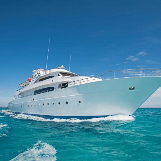 Liveaboard Safaris with Sea Dancer Dive Center