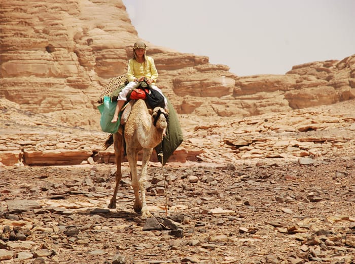 Camel Desert Safari around Dahab