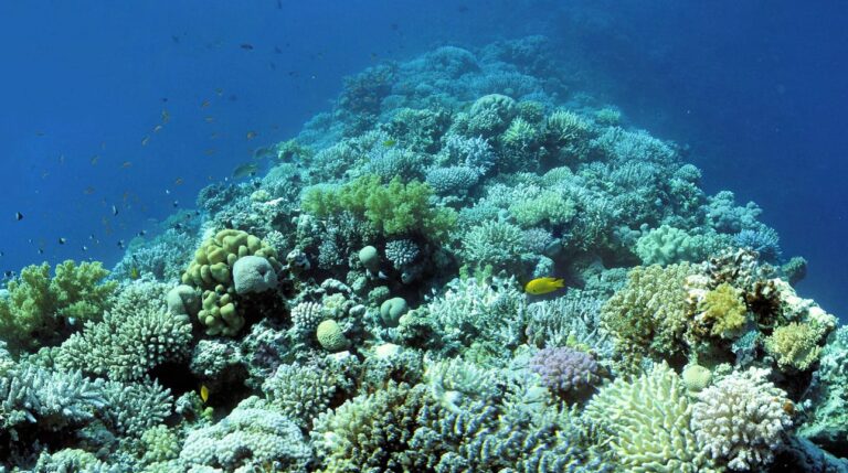 the saddle at Dahab's Blue Hole