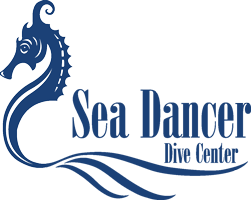 Sea Dancer Dive Center