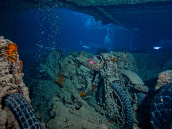 SS Thistlegorm