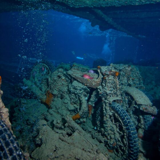 SS Thistlegorm