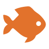 PADI Specialty Courses: Fish Identification