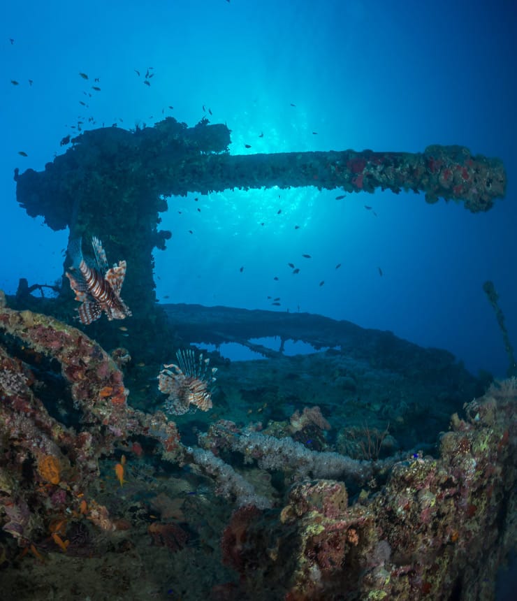 Thistlegorm. one of the best wrecks in the world