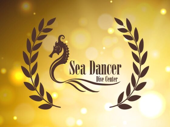 Sea Dancer Recognition