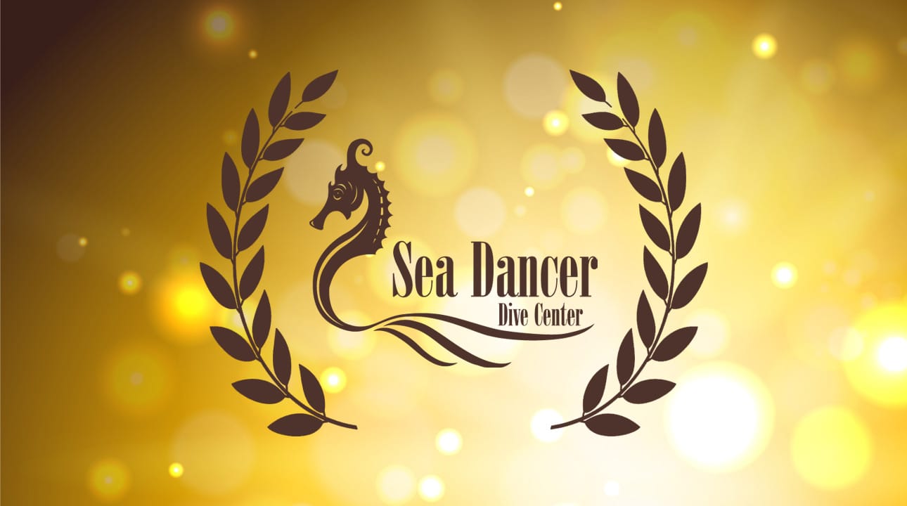 Sea Dancer Recognition