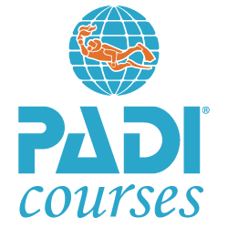 PADI courses