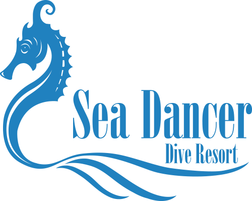 Sea Dancer Dive Resort at Le Meridien Dahab