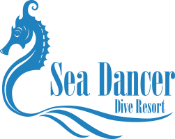 Sea Dancer Dive Resort at Le Meridien Dahab